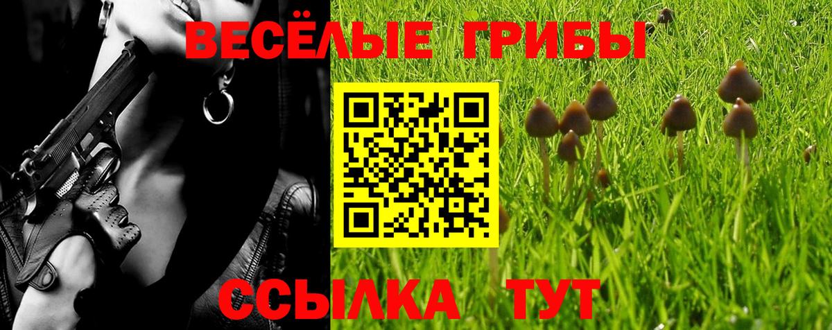 Галлюциногенные грибы мухоморы  Псилоцибиновые грибы Psilocybe  Вход с VPN  Чита 